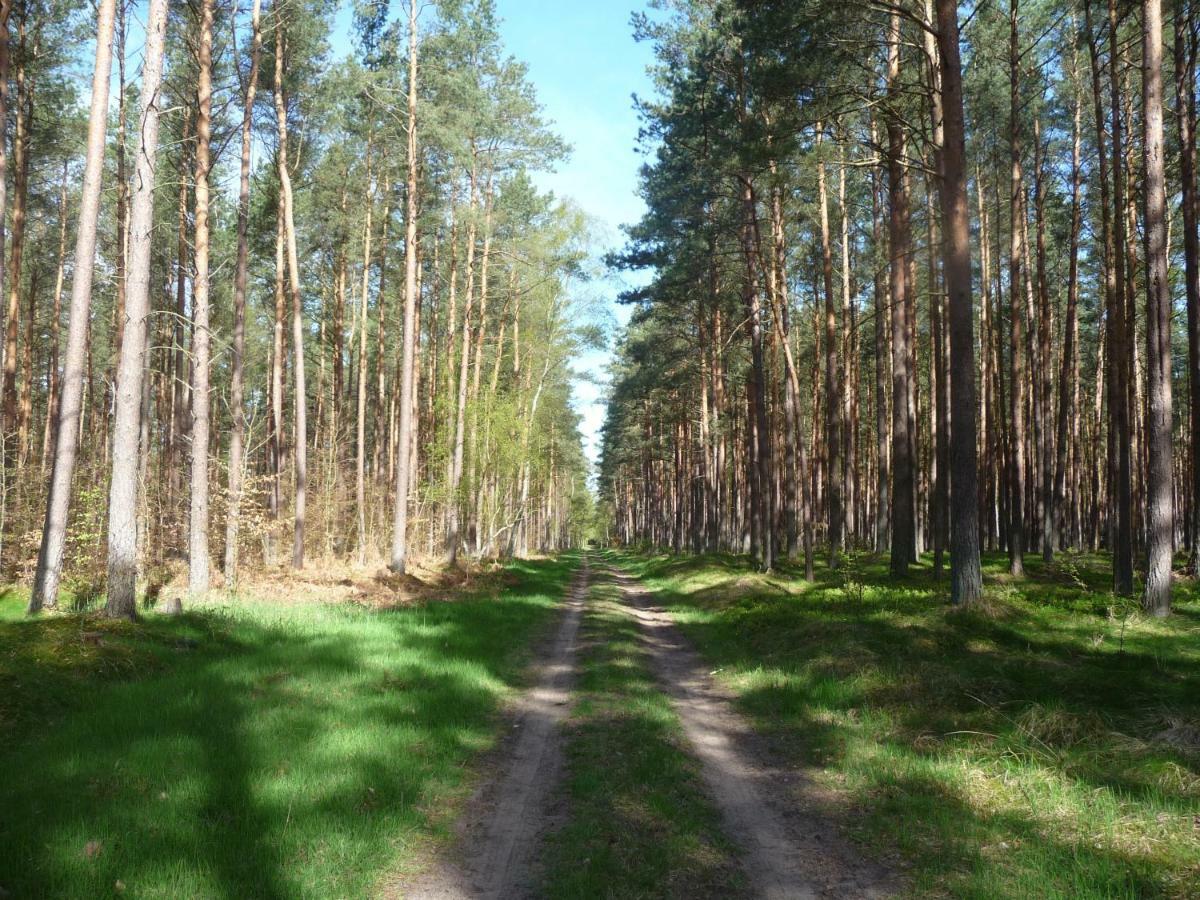 Ferienwohnung Ostseewald Росток Экстерьер фото